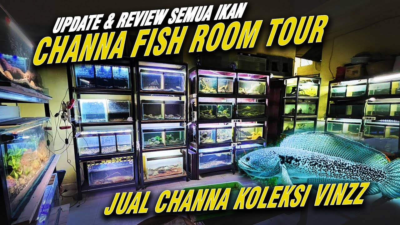 GALERY BARU! REVIEW KOLEKSI CHANNA TERBARU, JUAL MURAH MERIAH !!!