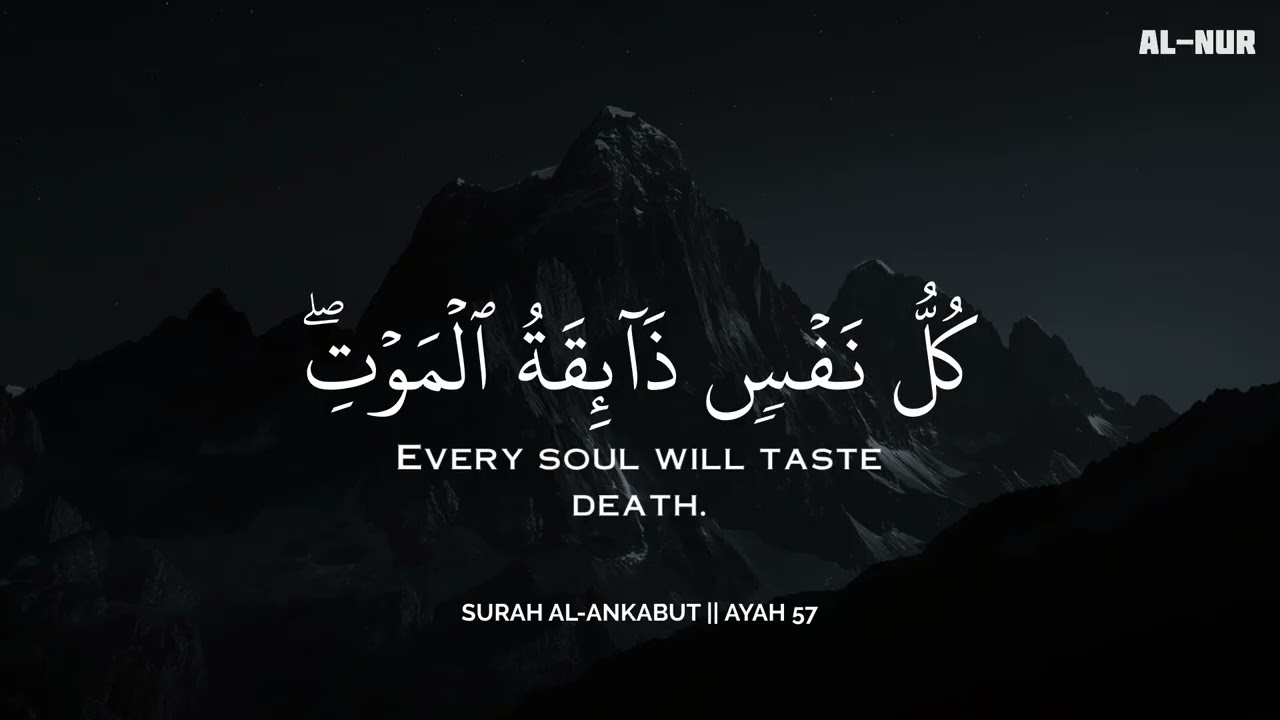 ساعة كاملة🕛🎧 | تلاوة القران بصوت عبدالولي للدراسة والتركيز 📚 | راحة نفسية😌 | Abdulwali Alarkani