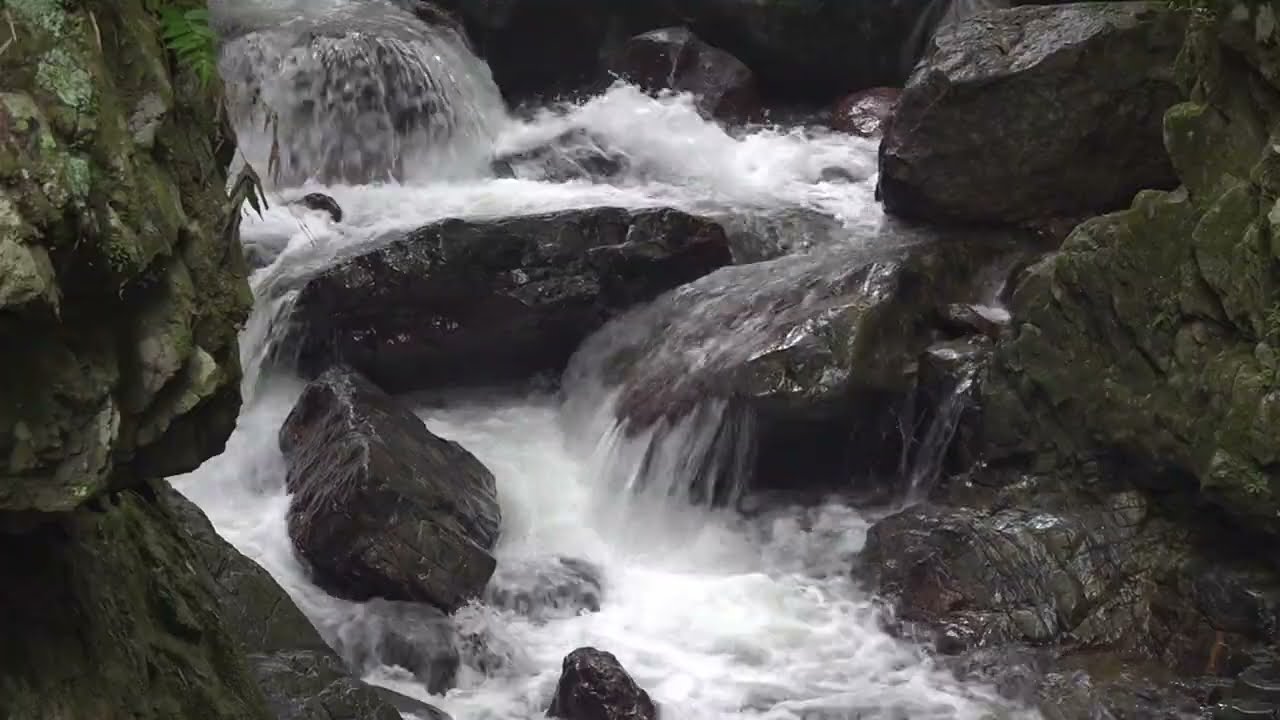 EL RÍO, PATRIMONIO NATURAL DE LA HONDA -  Daniel Alejandro Rangel