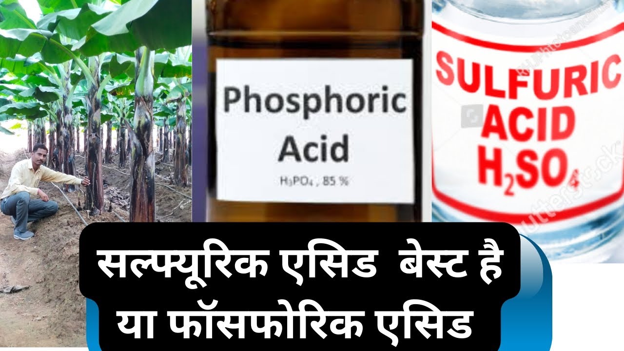 सल्फ्यूरिक एसिड बेस्ट है या फास्फोरिक एसिड |। Sulphuric Acid v/s Phoshphoric acid