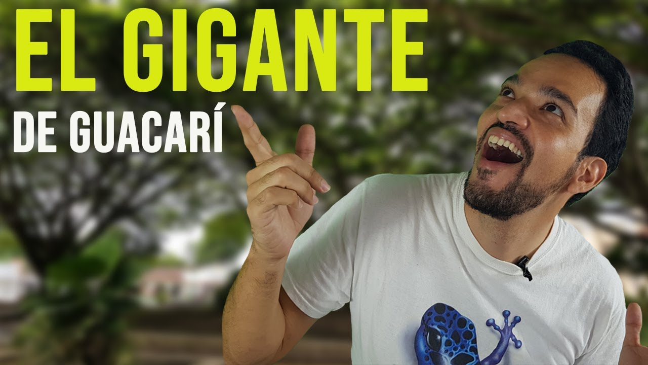 El Gigante de Guacarí