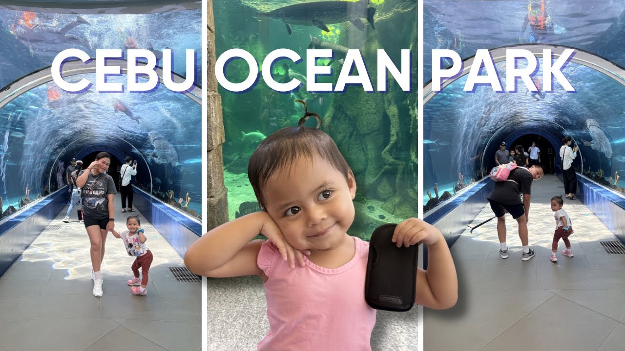 CEBU Ocean Park | Feb. 21, 2026