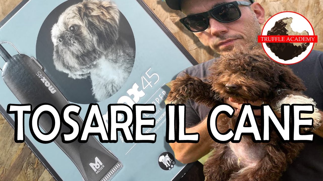 Tosatura del CANE. Proviamo la MOSER 45