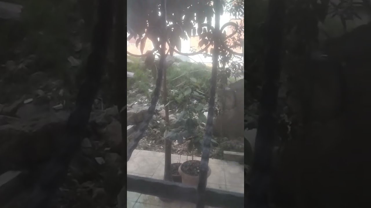 Gülümse Mutlu Ol  kanalı canlı yayında