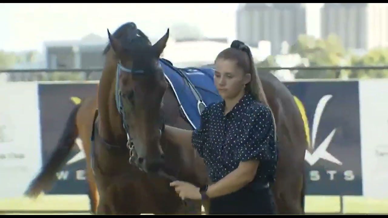 R6 WARWICK 🇦🇺 22 JAN 2026