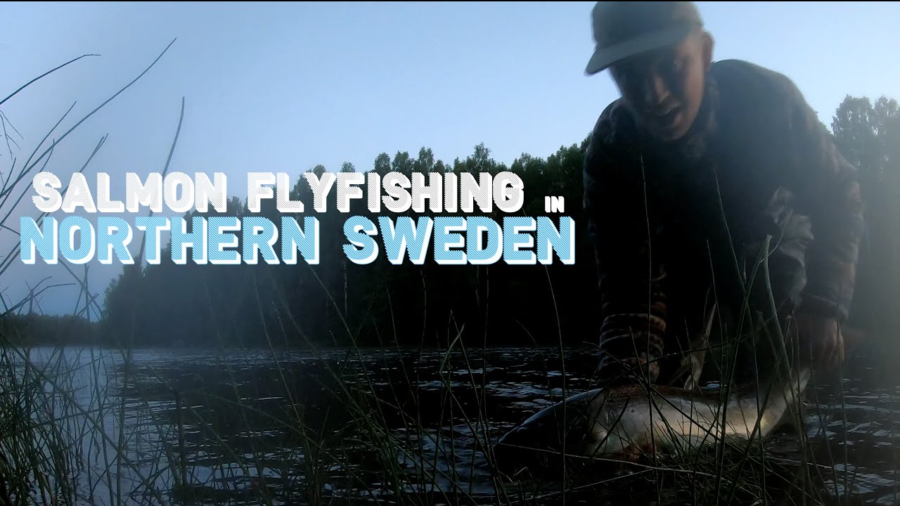 Flugfiske efter lax i norra Sverige / Salmon flyfishing in northern Sweden