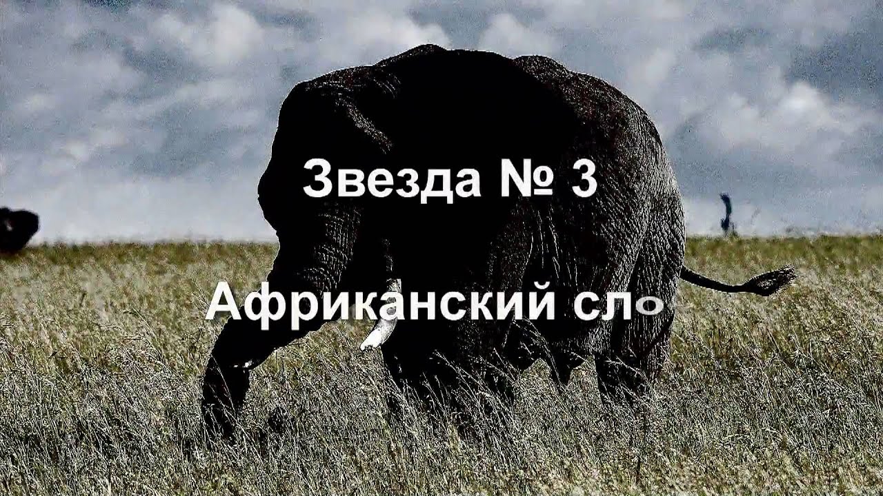 Охота на Большую Пятёрку (BIG FIVE) HD