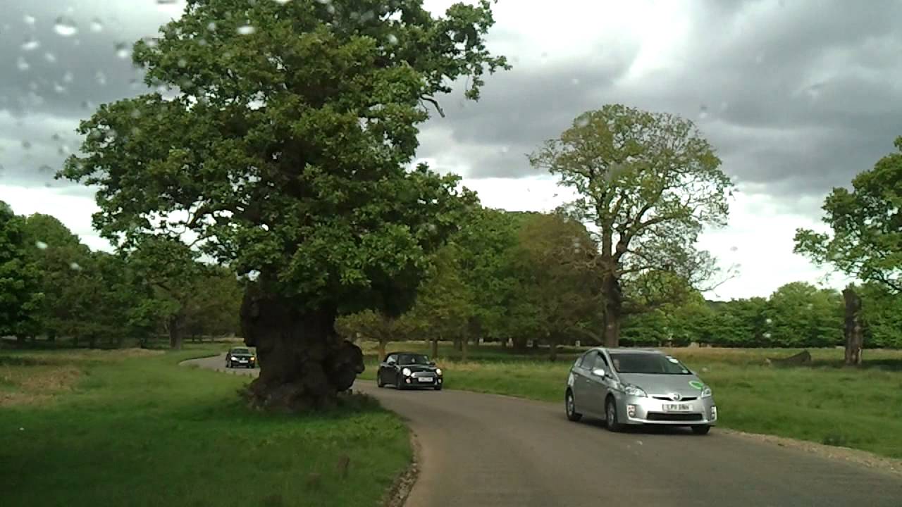 Driving in London - Richmond Park