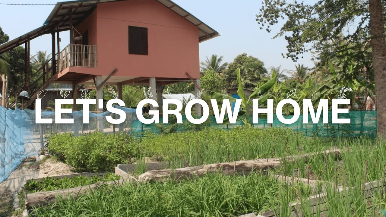 Let's Grow Home!