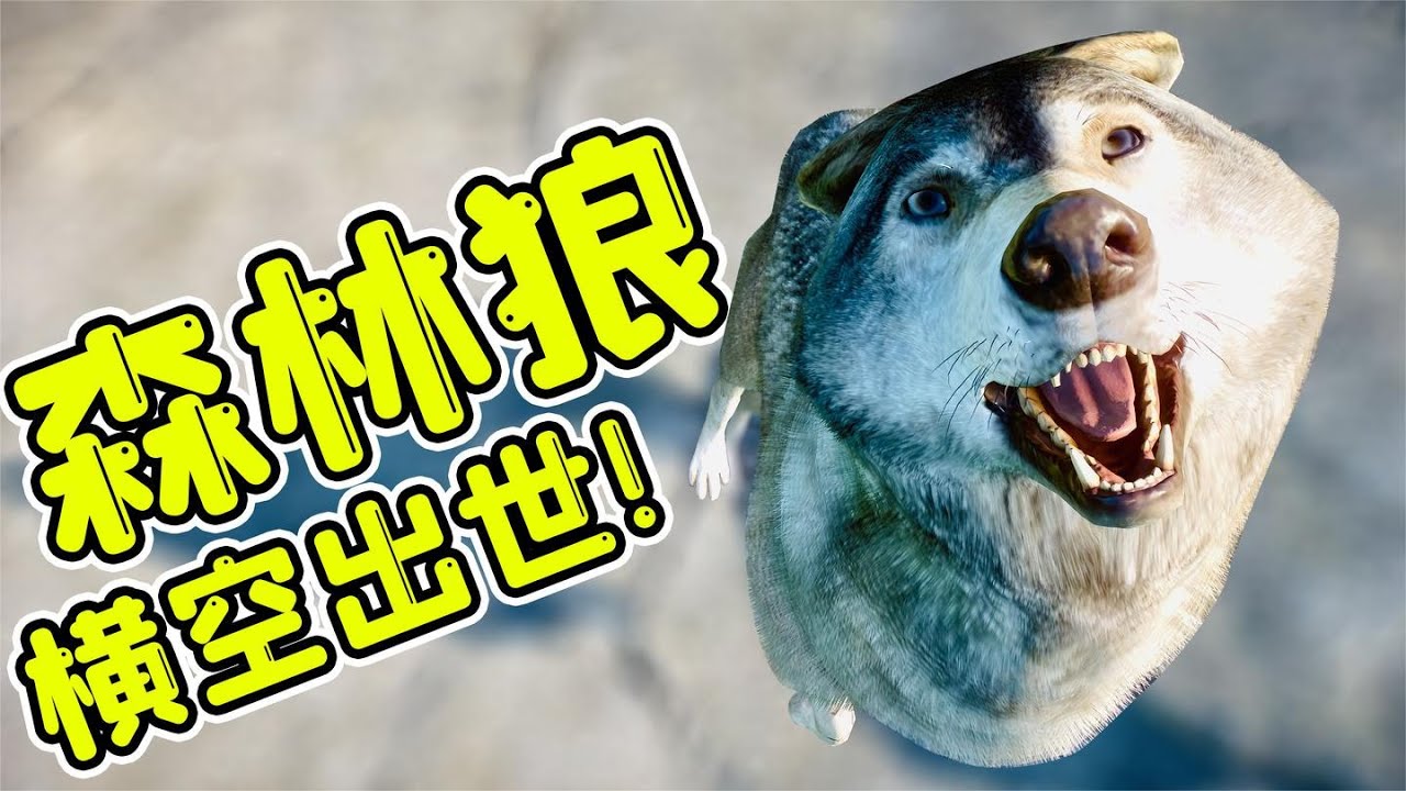 森林狼橫空出世，觀眾數量增加2000人，賺翻了！- 動物園之星12 | 勾魂公狒狒