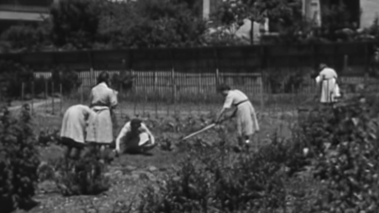 École ménagère dans les années 1950