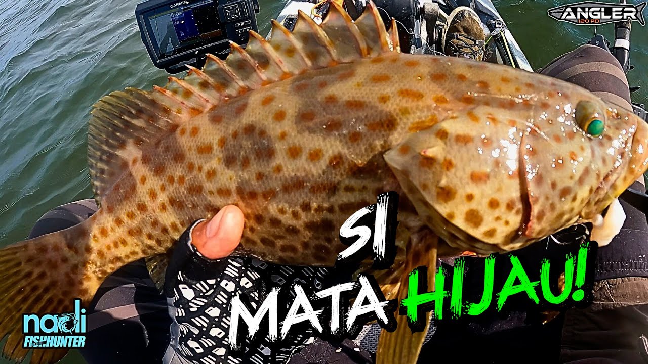 REZEKI Turun SOLO | Sekinchan |  Kayak Fishing ZERO to HERO! v137