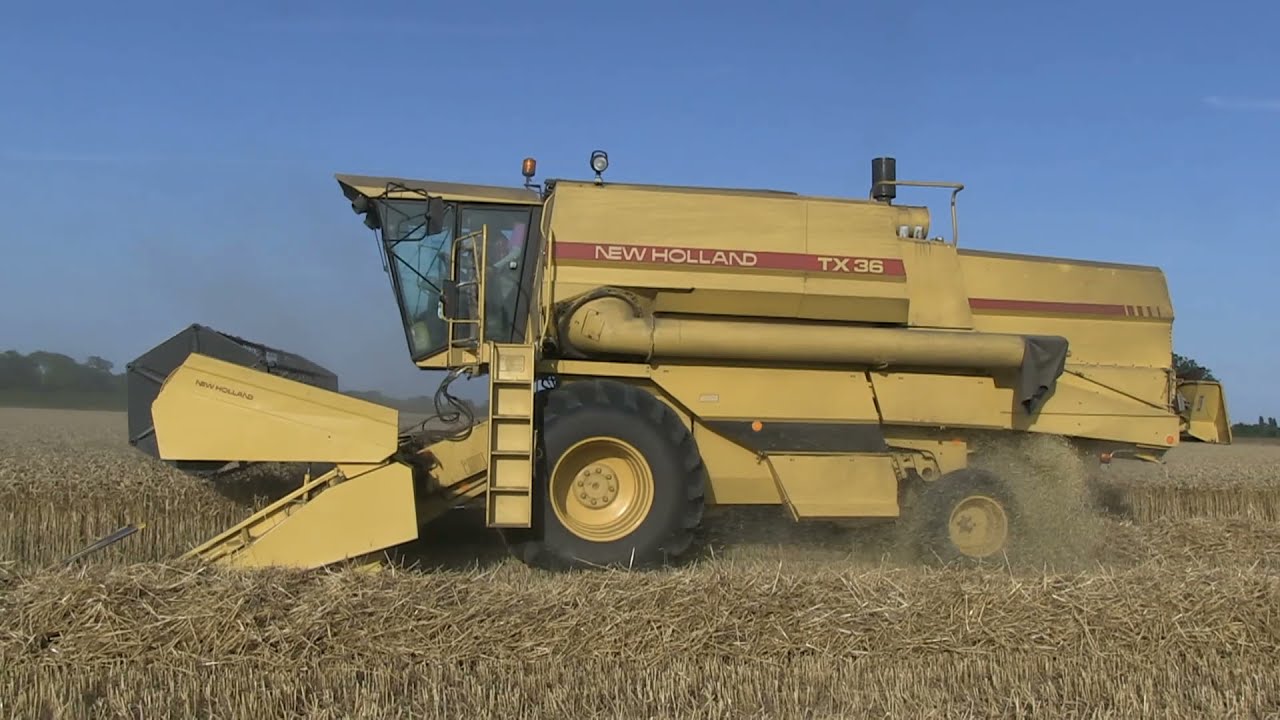 NEW HOLLAND TX36 HARVESTING WHEAT