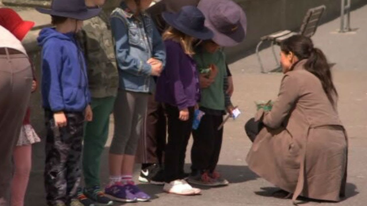 Shy child refuses Meghan Markle's handshake in New Zealand | Newshub