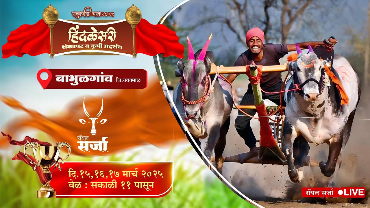 🔴 ROYAL SARJA LIVE | पालकमंत्री चषक २०२५ हिंद केसरी शंकरपट बाभुळगांव जि. यवतमाळ