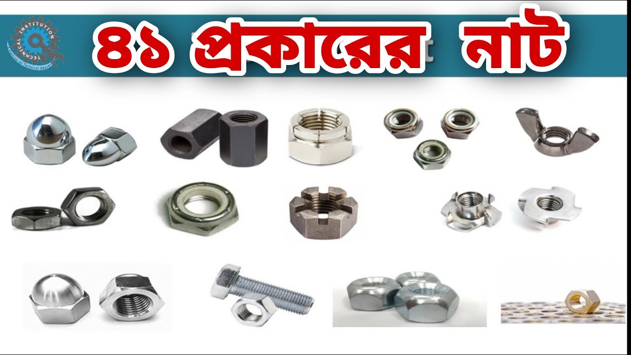 Types Of Nut In Bangla