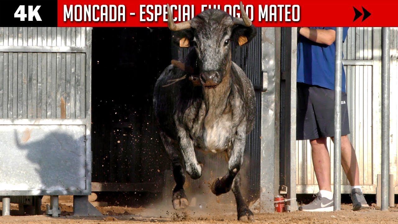 ESPECIAL EULOGIO MATEO ◾ MONCADA ◾ 4K
