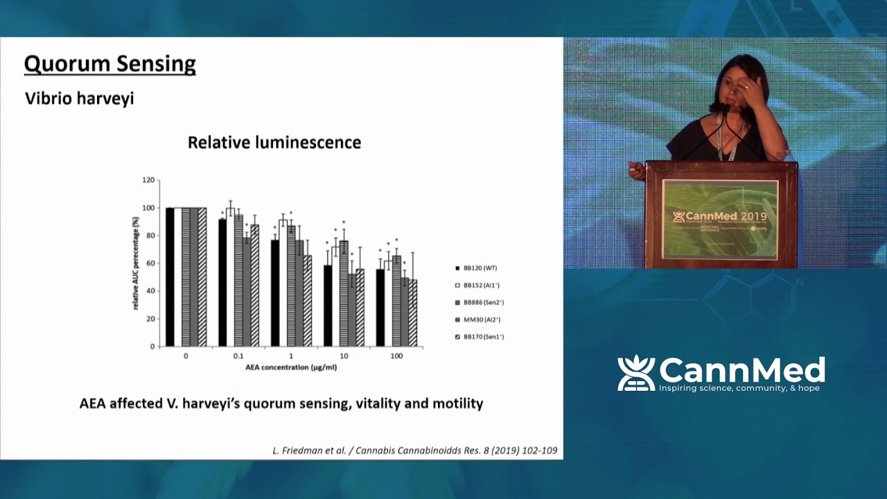 Recent Advances in Phytocannabinoids and Endocannabinoids Research - Reem Smoum-Jaouni, PhD