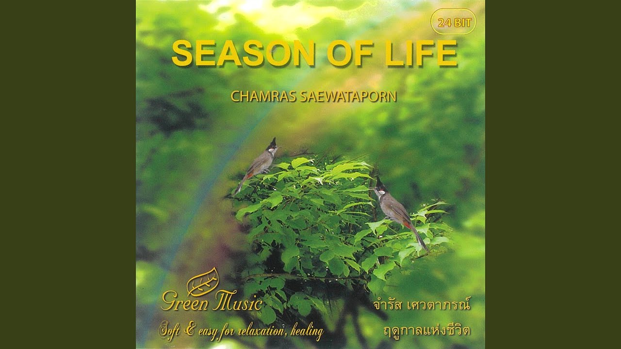 ชีวิตใหม่ (New Life)