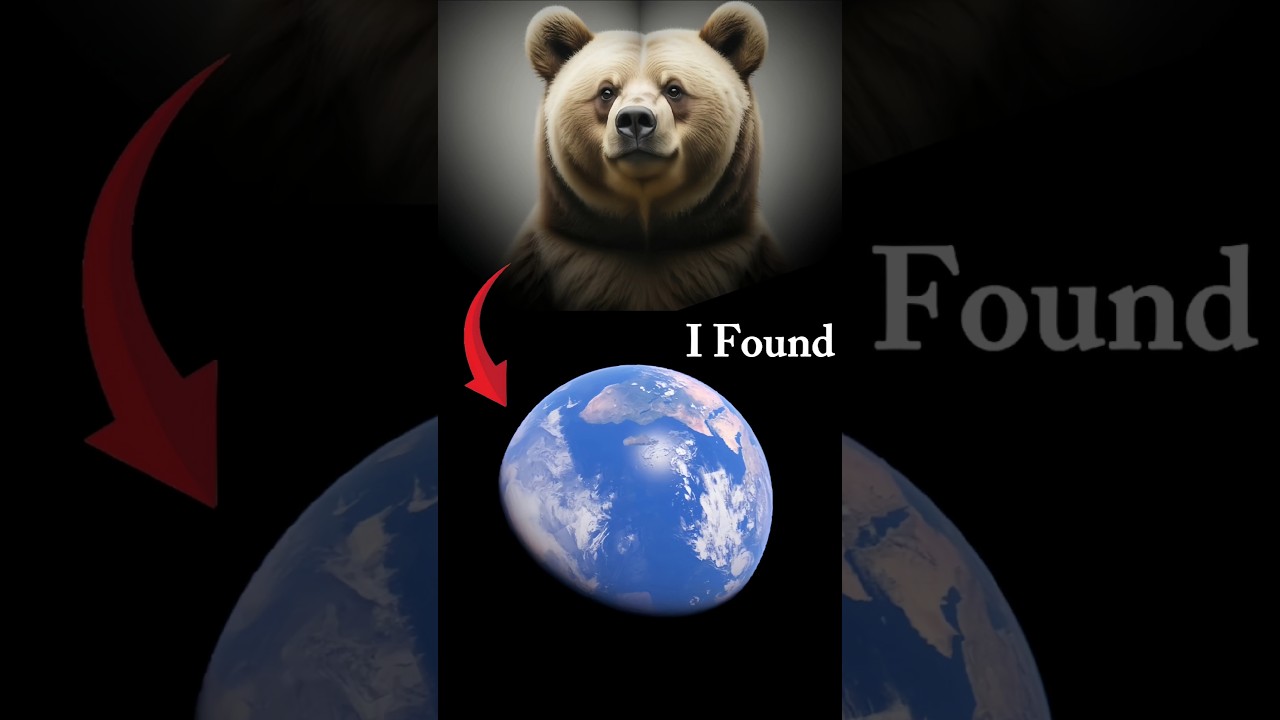 🐻I Found Strange Giant Bear at Beck Rd 🌍dqs #googlemaps #googleearth #googlestreetview #maps