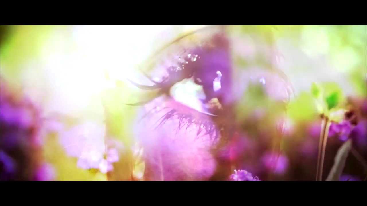 Exit Calm - Promise