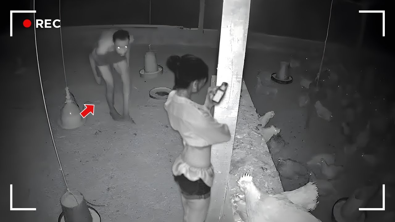 Incredible Moments Caught on Camera