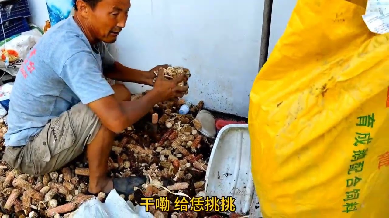 早起干点零活，两个小时看看励志和峰赚了多少钱。#我的乡村生活