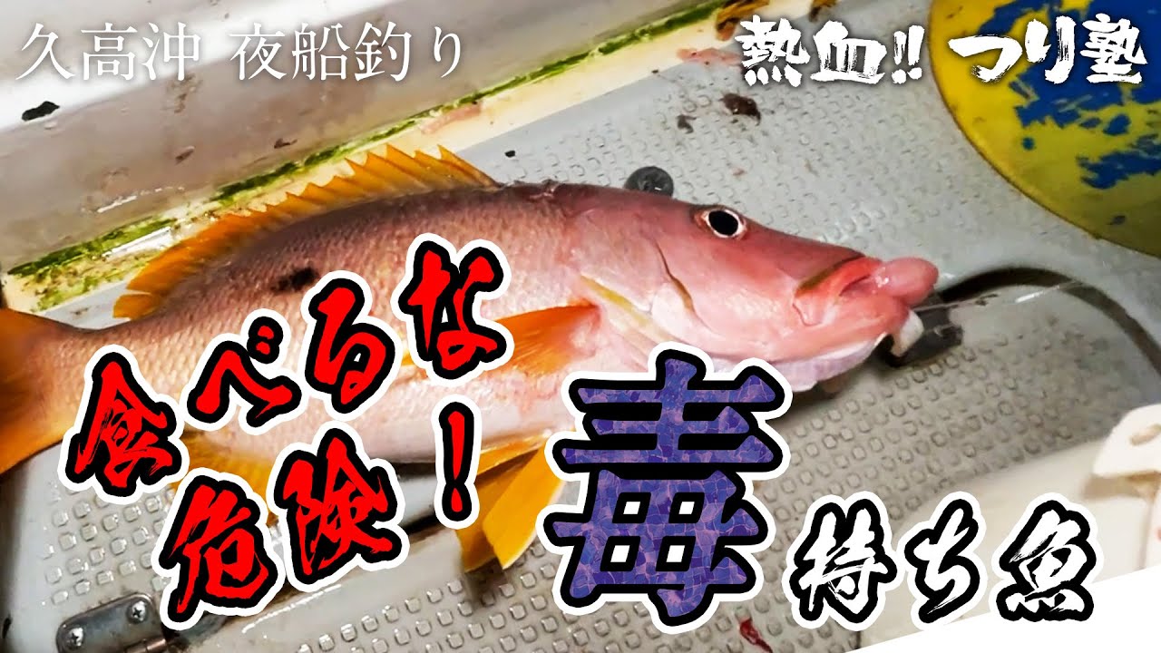 夜釣りでミミジャーを狙っていたら毒魚もやってきた！