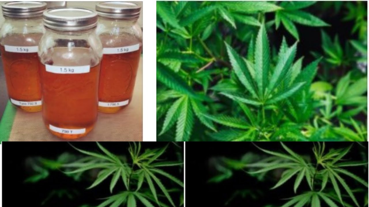 Buy cbd flowers online | Buy cbd flowers online Buy cbd flowers online