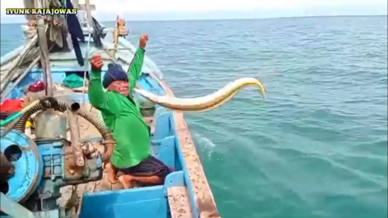 Lihat saja hasilnya saat mancing Rawai disini 