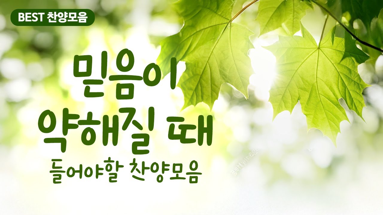 [BEST 찬양모음 50 ] 믿음이 약해질 때 들어야할 찬양모음 50곡