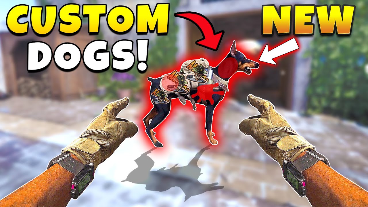 *NEW* VANGUARD BEST HIGHLIGHTS! - Epic & Funny Moments #4