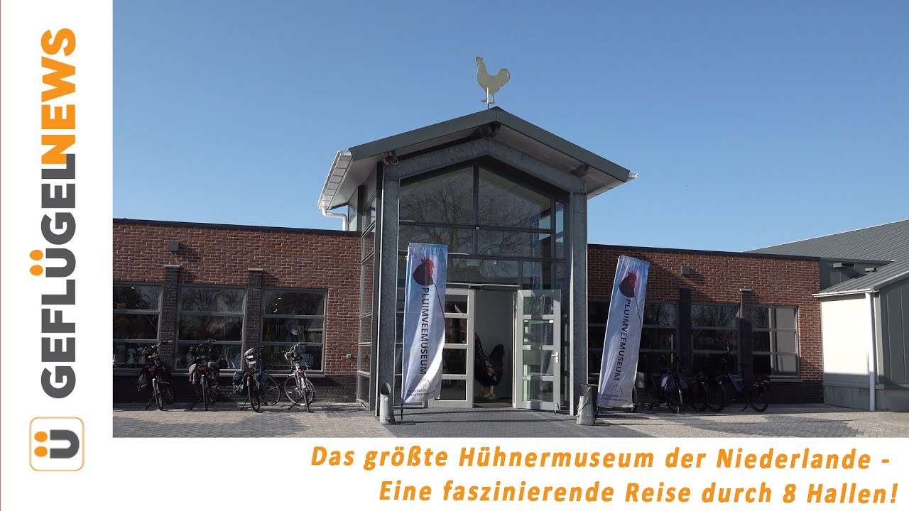 Das größte Hühnermuseum - Eine faszinierende Reise durch 8 Hallen auf 3500 Quadratmeter!