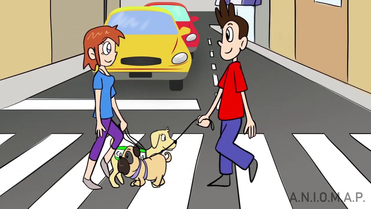 Non distrarre un cane guida mentre lavora
