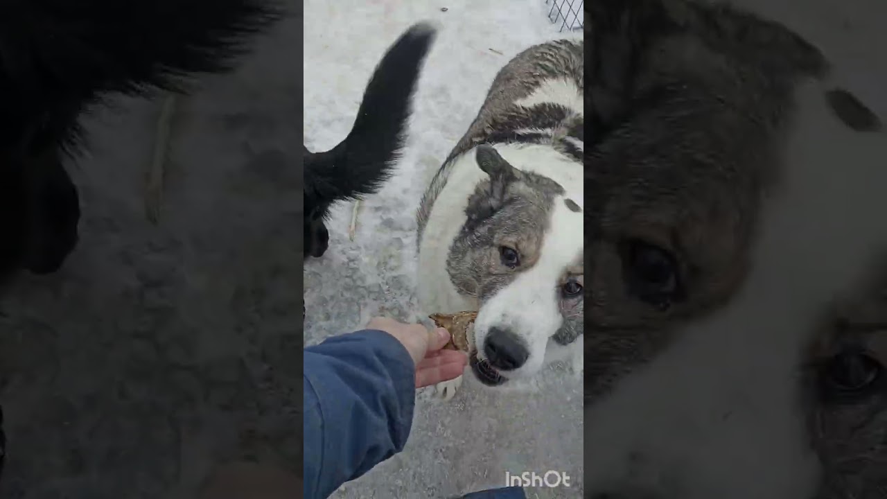 08.03.2026 С праздником дорогие женщины! 