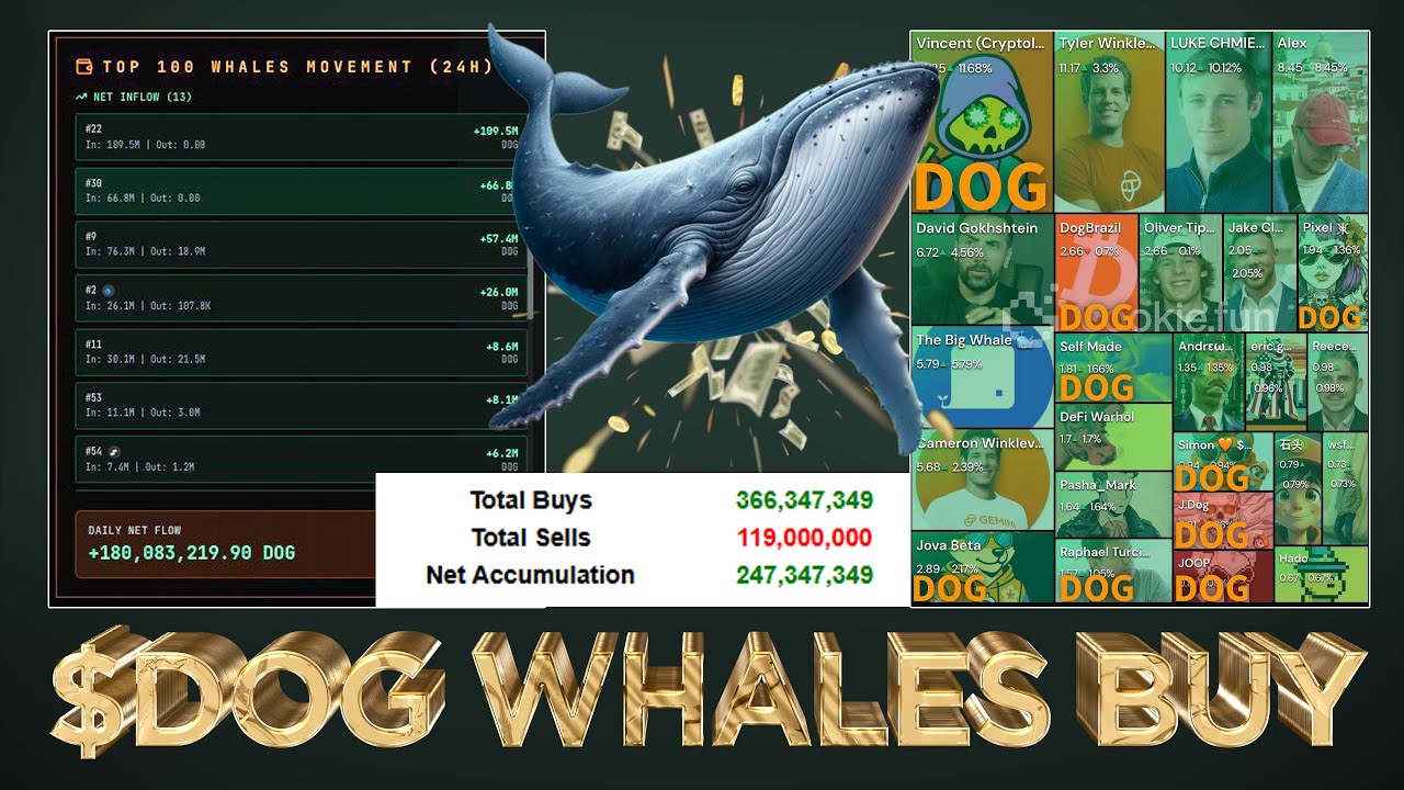 Massive $DOG Whale Accumulation (Top 100 Wallets) 🐋 🤑