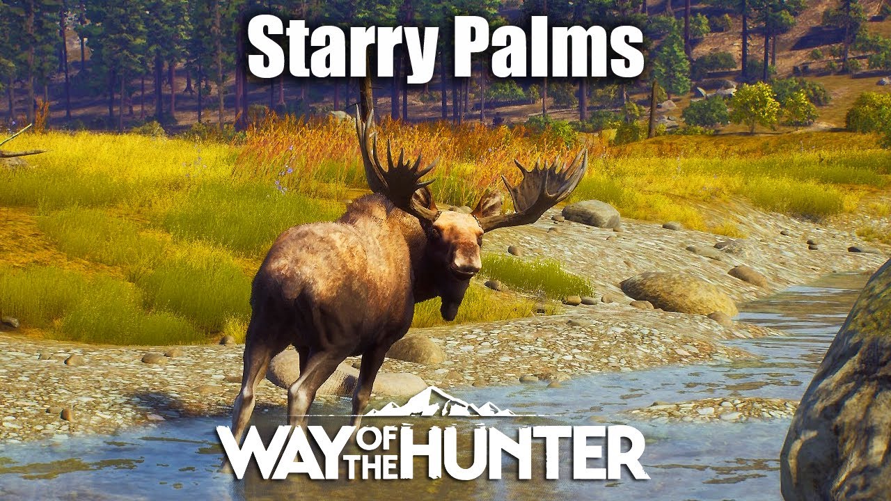 Way Of The Hunter - Starry Palms