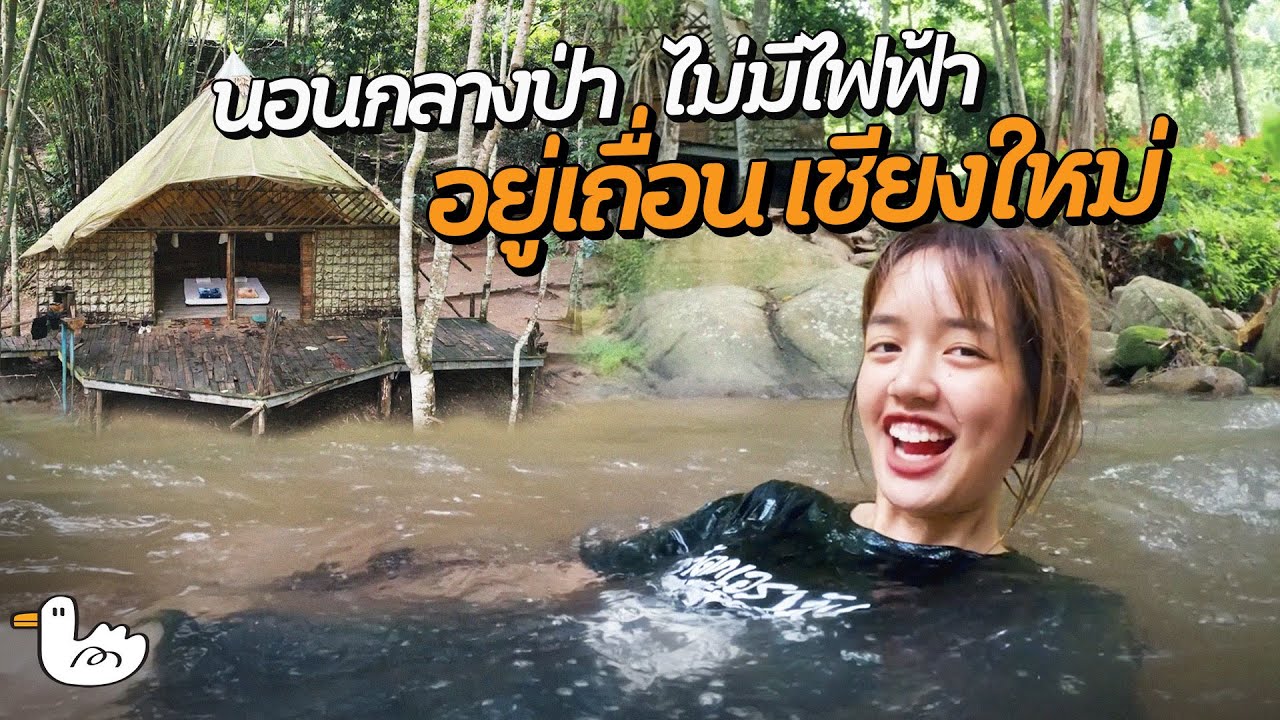 อยู่กินแบบ(ดิบ)เถื่อน บ้านไม้กลางป่า I เชียงใหม่