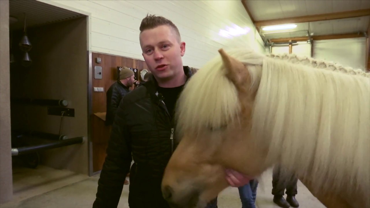 Draupnir fra Studlum