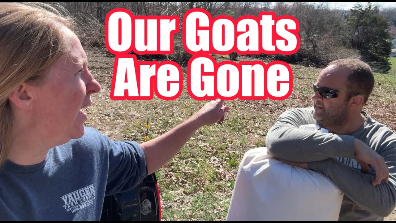 NO MORE GOATS For Us (Hear WHY!) & Getting Ready For Spring