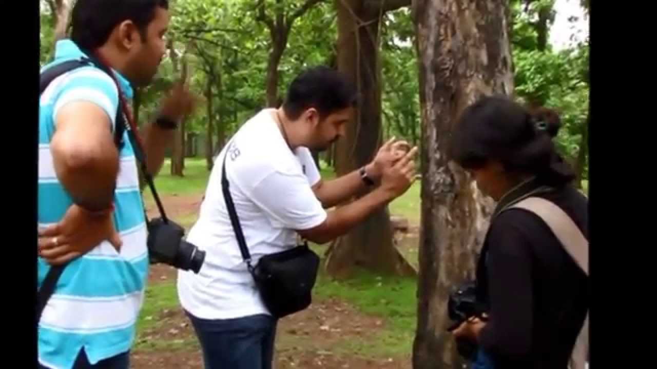 Shoot Bob | Dandeli | Photography Expedition | On field assistance and training