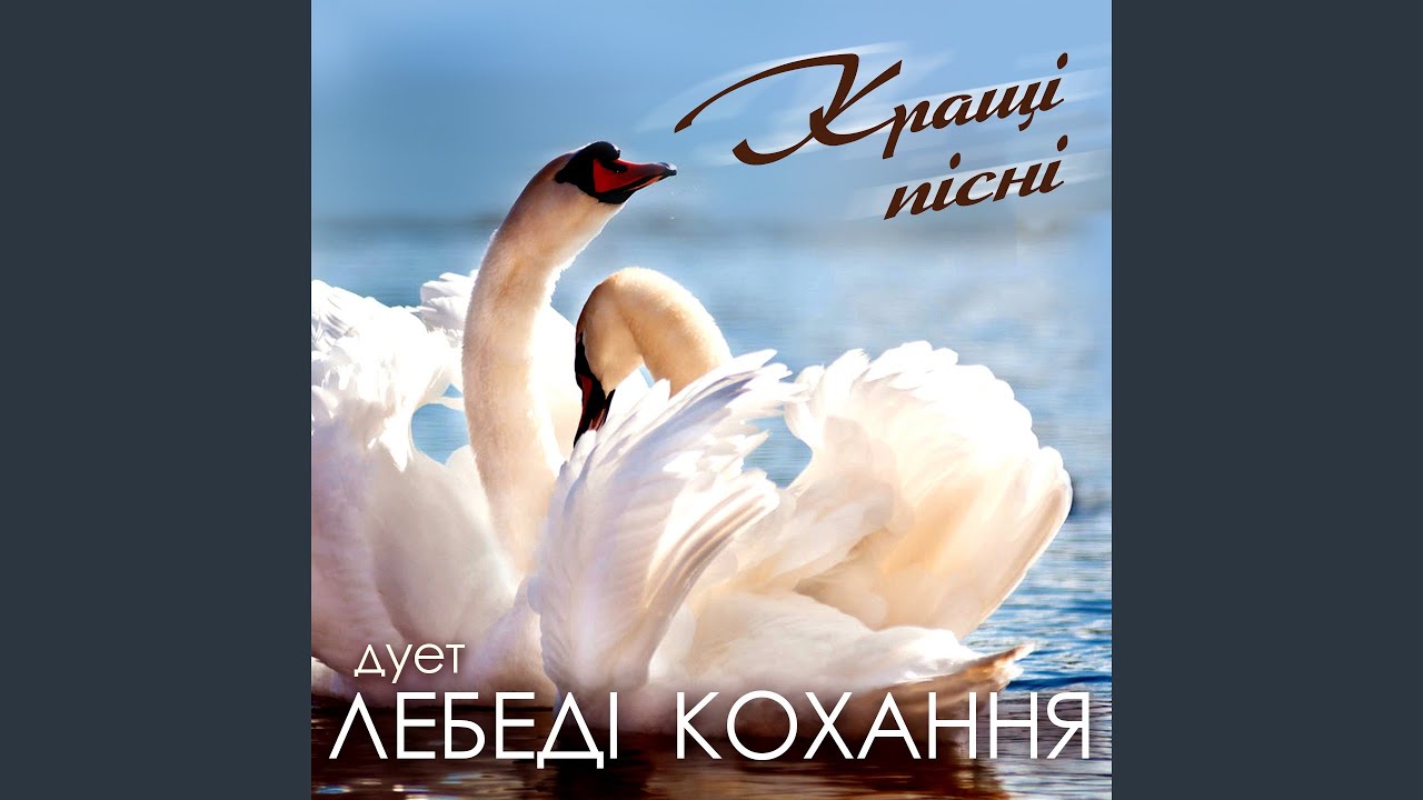 Твої очі