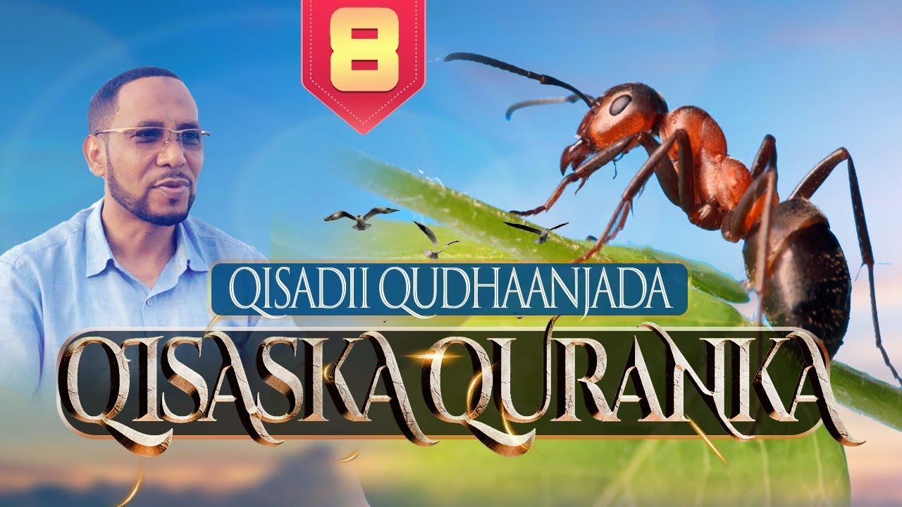 QISASKA QURANKA XALQADII 8AAD ┇QISADII QUDHAANJADA ᴴᴰ┇𝐒𝐇 𝐀𝐁𝐔𝐁𝐀𝐊𝐀𝐑 𝐗𝐎𝐎𝐒𝐇