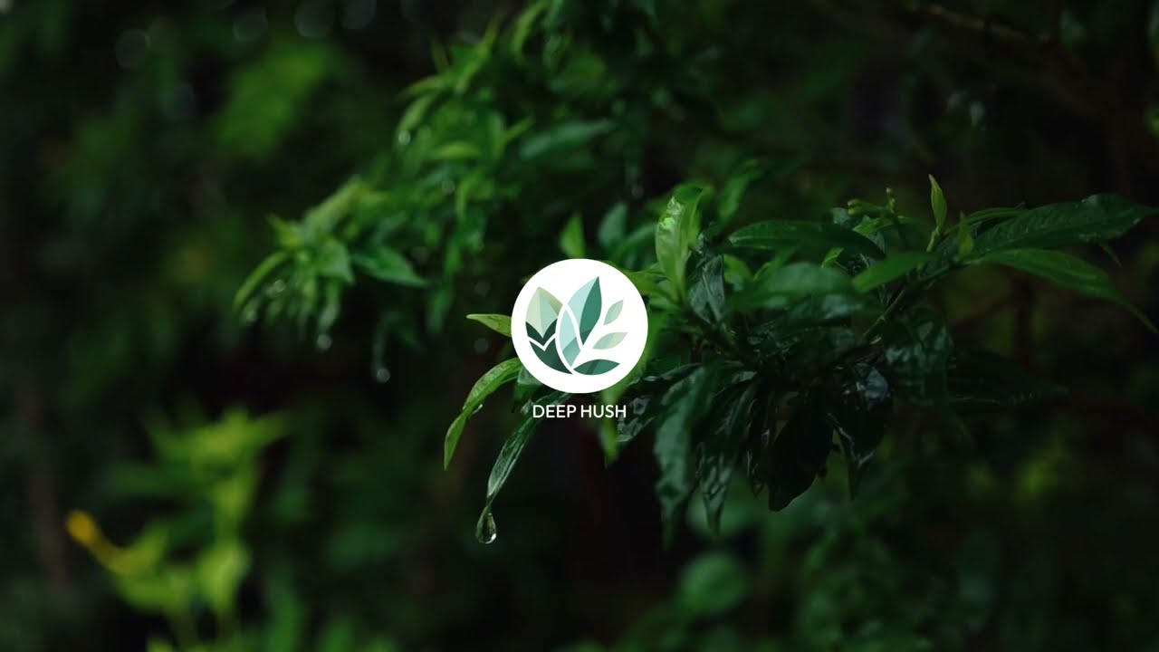 Soft Rain on Green Leaves | Relaxing Sounds for Sleep & Deep Relaxation