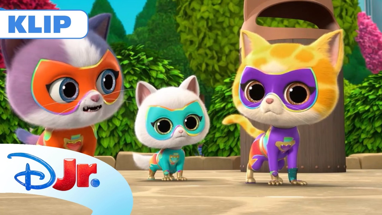 🐱  Urodziny Gosi | Superkoty | Disney Junior Polska