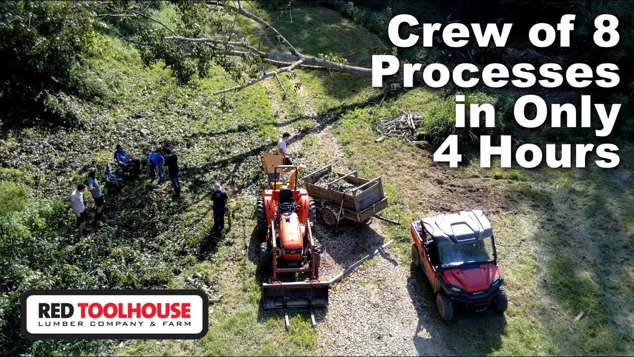 Storm Damage Drops MASSIVE Red Oak Blocking Access on Our Homestead