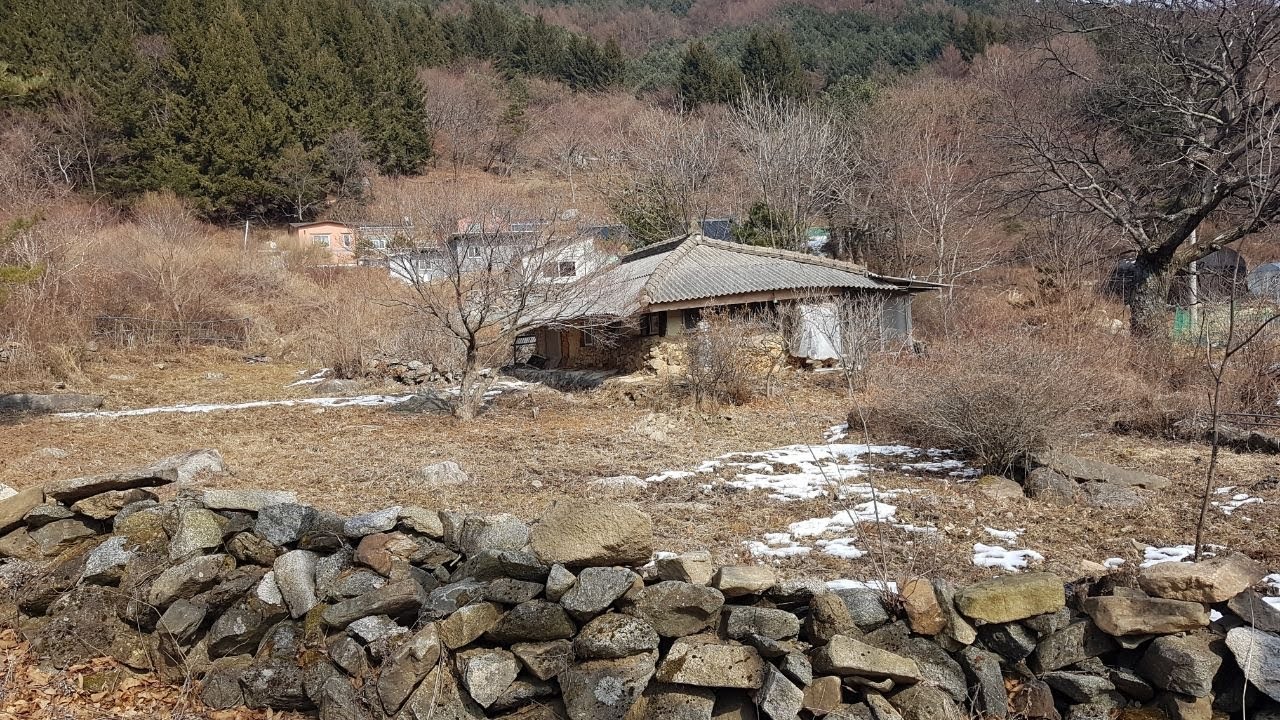 가야산자락 산정상의오지 // 합천치인리마을//멋진소나무길