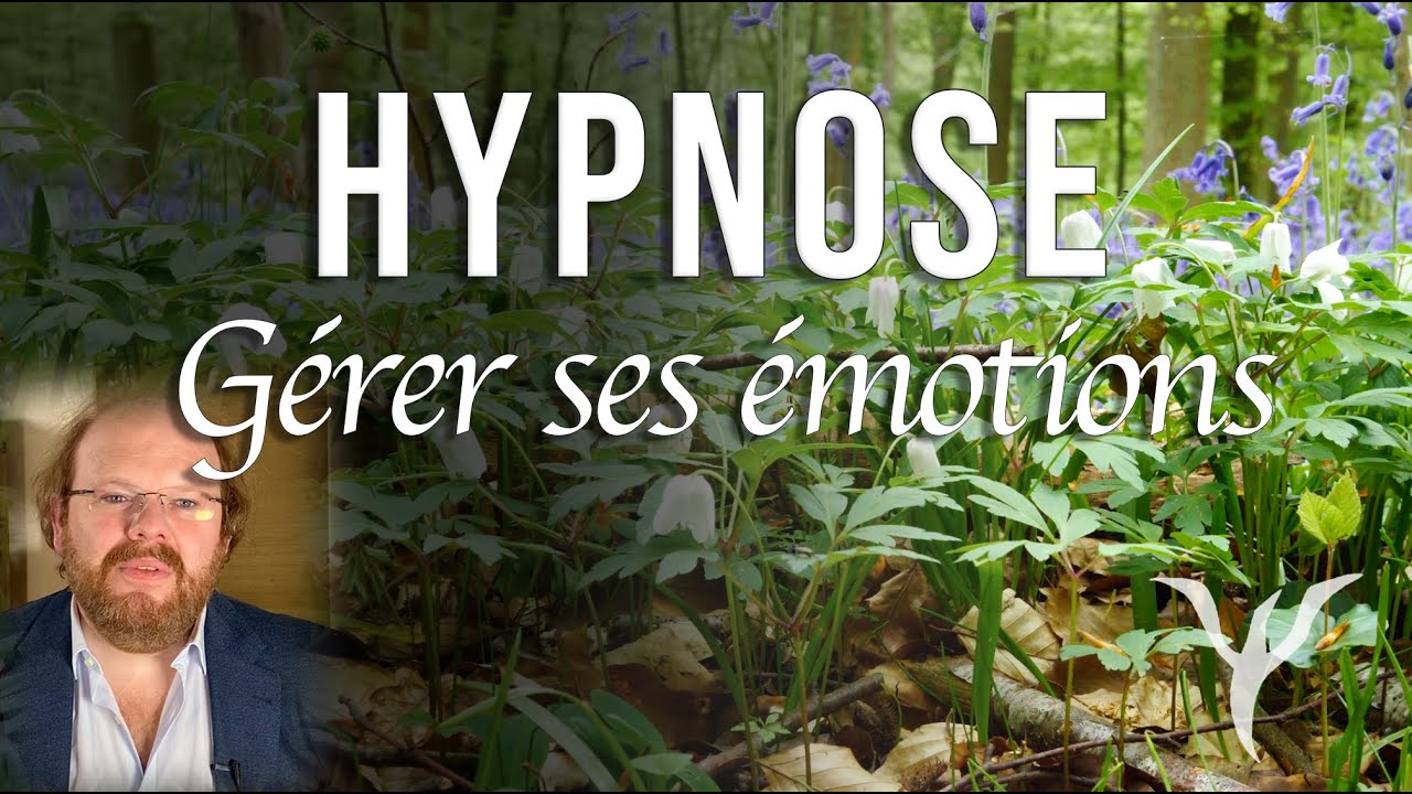Hypnose gérer ses émotions : promenade en forêt