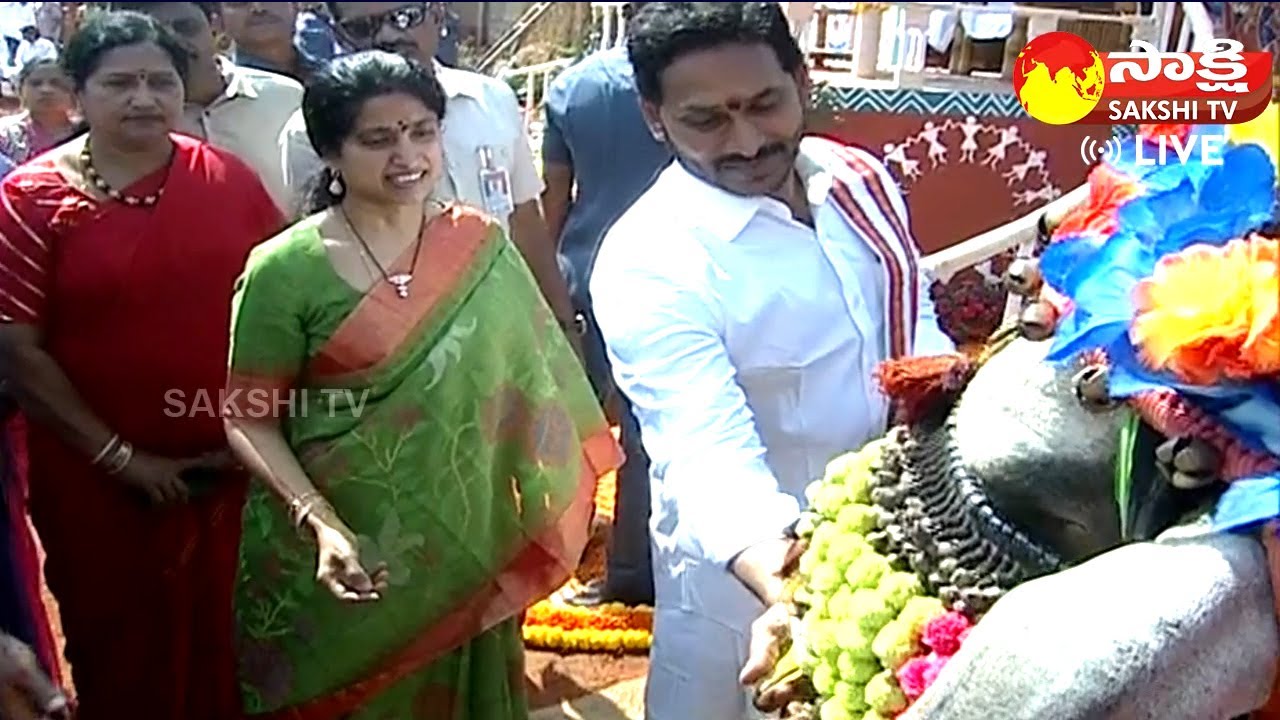 Bhogi Celebrations at Ghosala,Tadepalli || CM Jagan Couple Celebrates Bhogi @SakshiTVLIVE