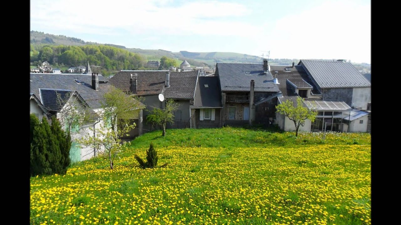 Lacaune (Tarn,France).wmv